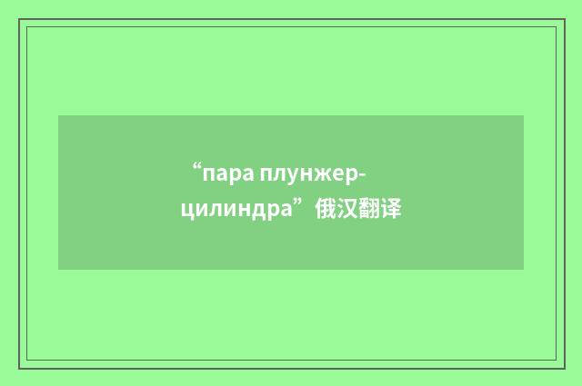 “пара плунжер-цилиндра”俄汉翻译