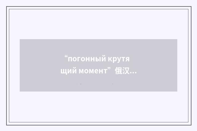 “погонный крутящий момент”俄汉翻译