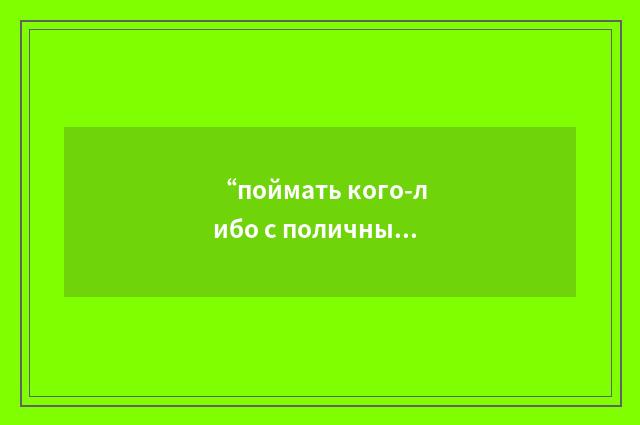 “поймать кого-либо с поличным”俄汉翻译