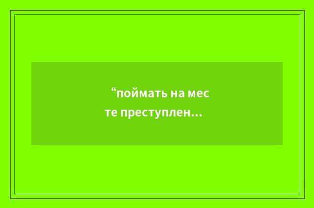 “поймать на месте преступления”俄汉翻译