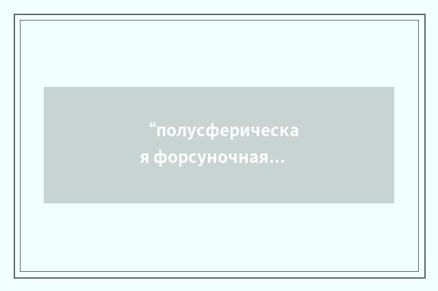“полусферическая форсуночная головка”俄汉翻译
