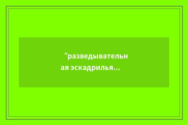 “разведывательная эскадрилья”俄汉翻译