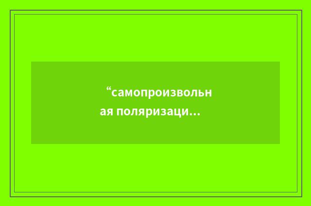 “самопроизвольная поляризация”俄汉翻译