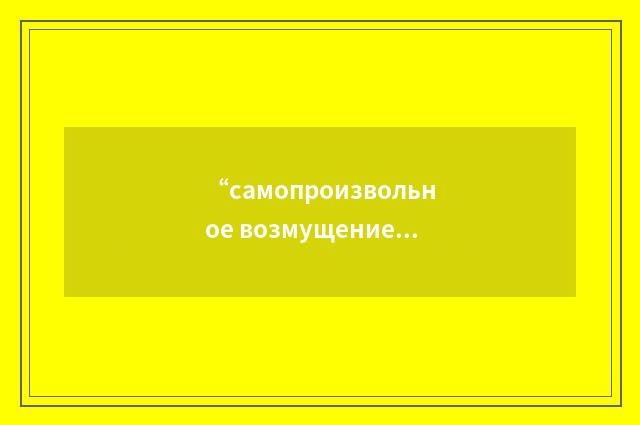 “самопроизвольное возмущение”俄汉翻译