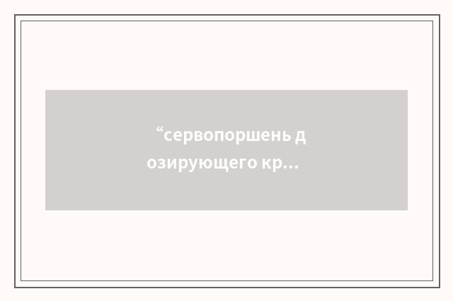 “сервопоршень дозирующего крана”俄汉翻译