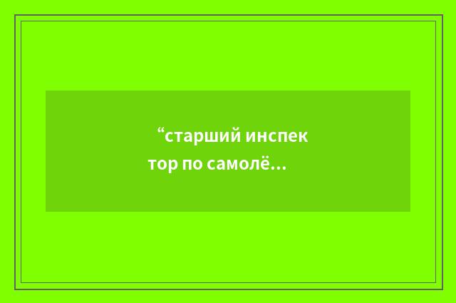 “старший инспектор по самолётам”俄汉翻译