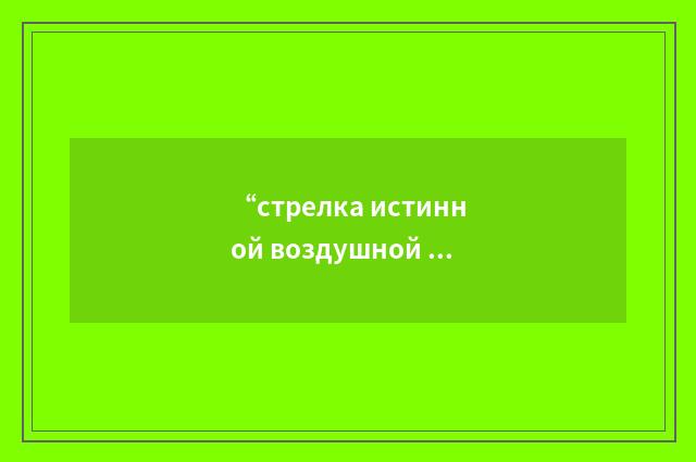 “стрелка истинной воздушной скорости”俄汉翻译