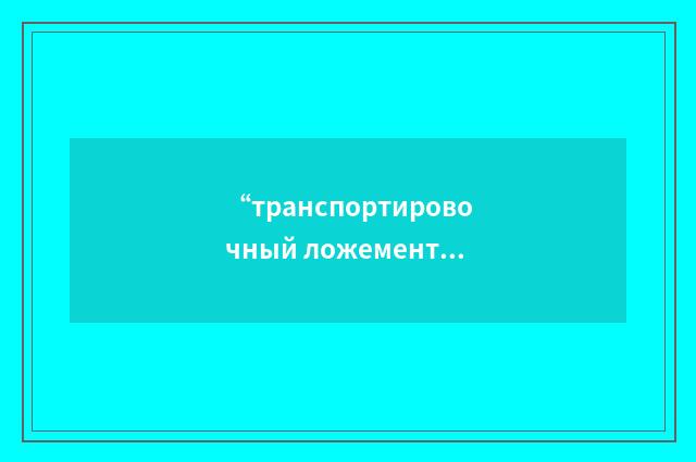“транспортировочный ложемент”俄汉翻译