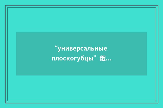 “универсальные плоскогубцы”俄汉翻译