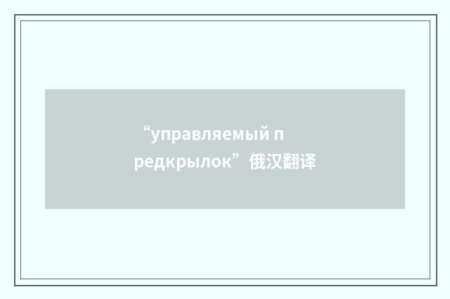 “управляемый предкрылок”俄汉翻译
