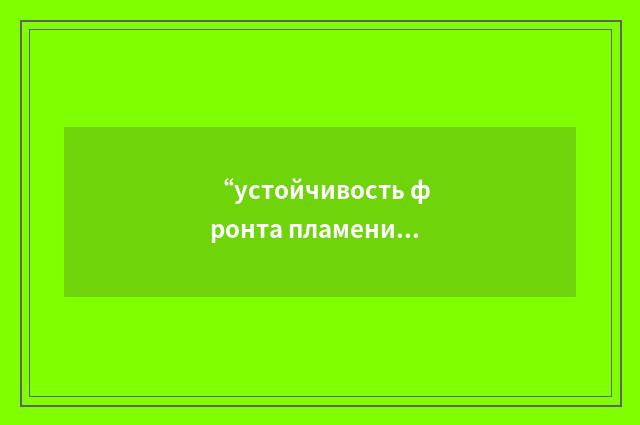 “устойчивость фронта пламени”俄汉翻译