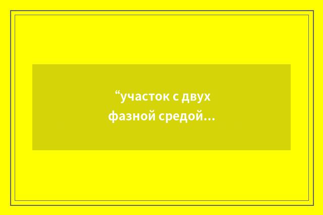 “участок с двухфазной средой”俄汉翻译