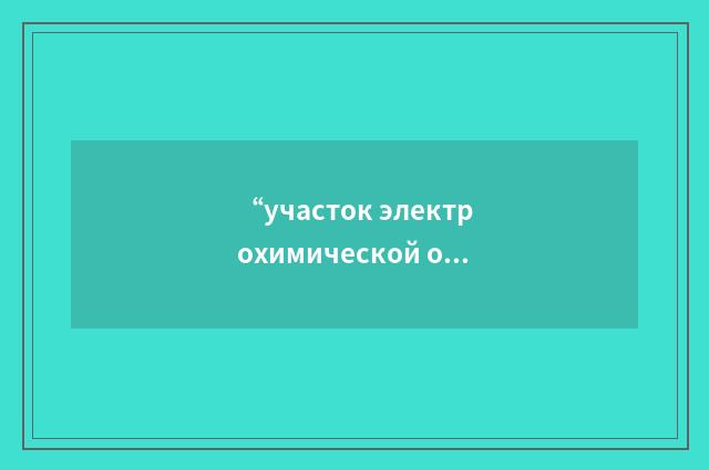 “участок электрохимической обработки”俄汉翻译