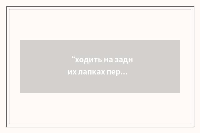 “ходить на задних лапках перед кем-либо”俄汉翻译