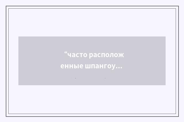 “часто расположенные шпангоуты”俄汉翻译