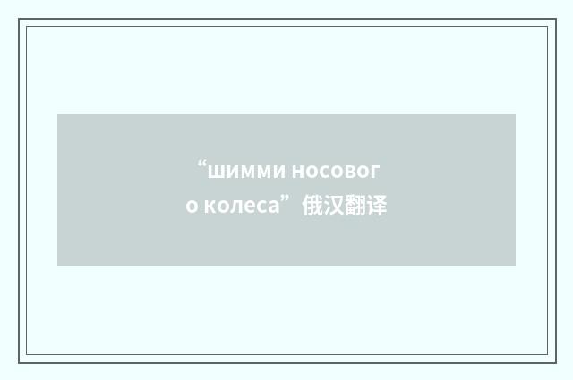 “шимми носового колеса”俄汉翻译