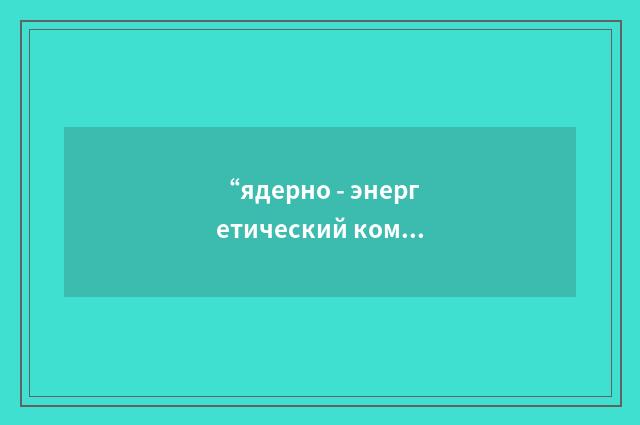 “ядерно - энергетический комплекс”俄汉翻译