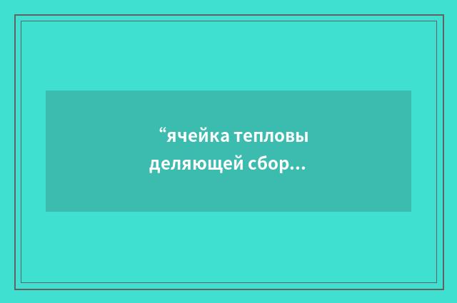 “ячейка тепловыделяющей сборки”俄汉翻译