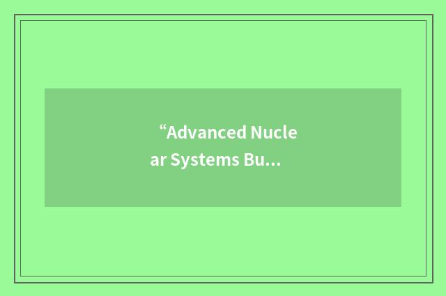 “Advanced Nuclear Systems Business Unit”缩略