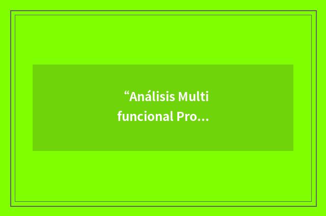 “Análisis Multifuncional Programado y Objetivo”缩略