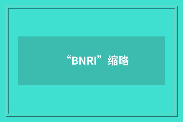 “BNRI”缩略