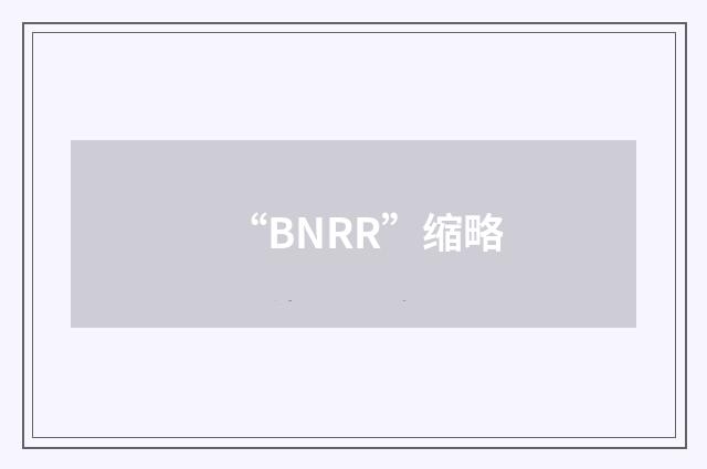 “BNRR”缩略