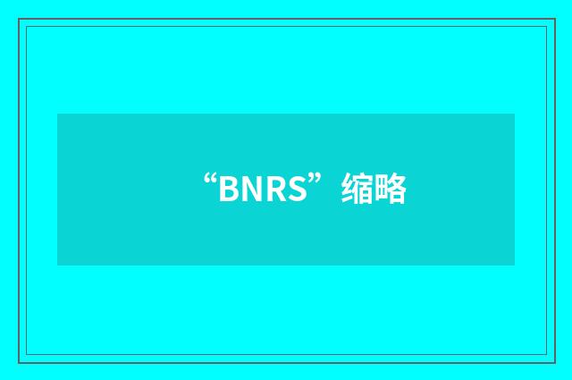“BNRS”缩略