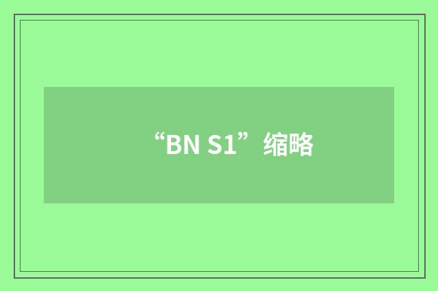 “BN S1”缩略