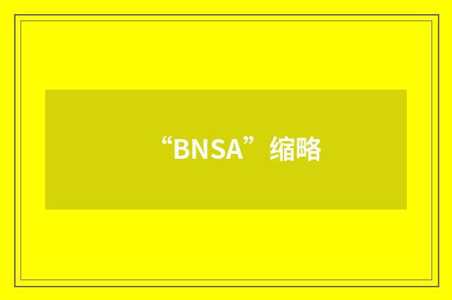 “BNSA”缩略