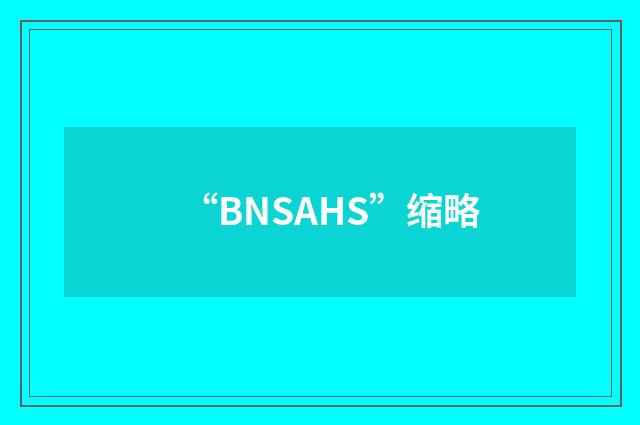 “BNSAHS”缩略