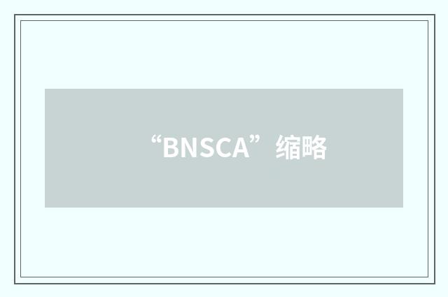 “BNSCA”缩略