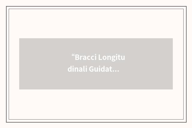 “Bracci Longitudinali Guidati”缩略