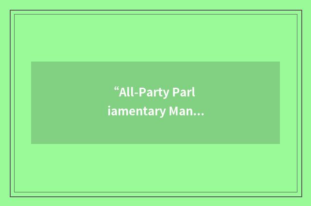 “All-Party Parliamentary Manufacturing Group”缩略