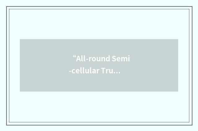“All-round Semi-cellular Trunking Radiocommunication network with Integrated Dis