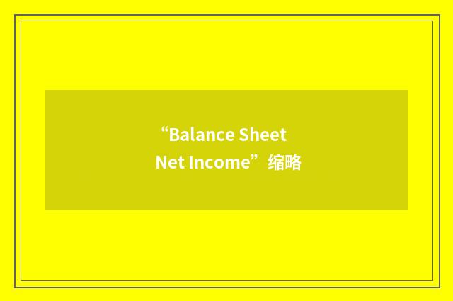 “Balance Sheet Net Income”缩略