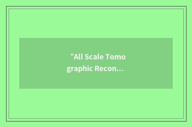“All Scale Tomographic Reconstruction Antwerp”缩略