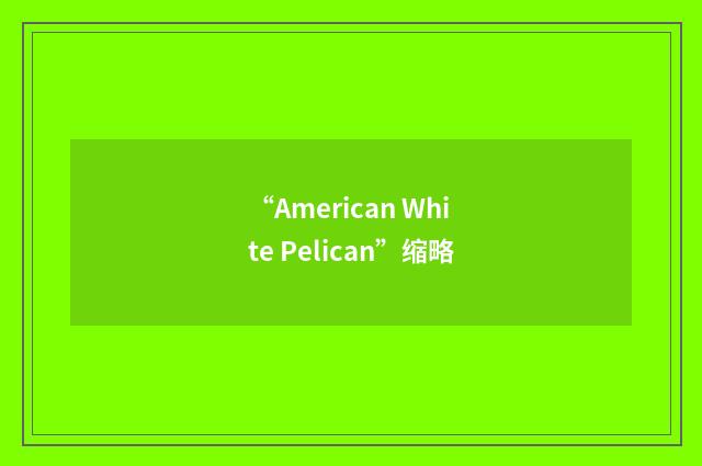 “American White Pelican”缩略