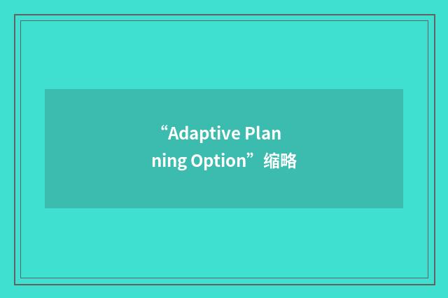 “Adaptive Planning Option”缩略