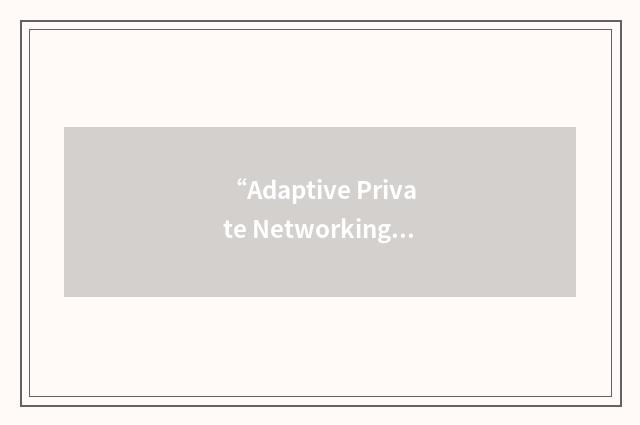 “Adaptive Private Networking”缩略