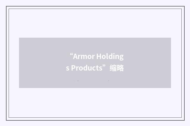 “Armor Holdings Products”缩略