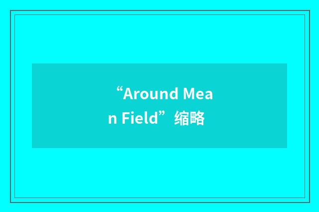 “Around Mean Field”缩略