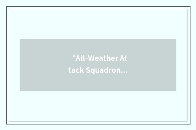 “All-Weather Attack Squadron”缩略