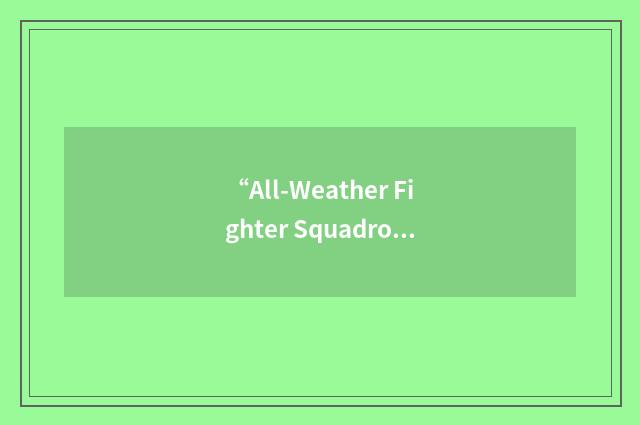 “All-Weather Fighter Squadron”缩略