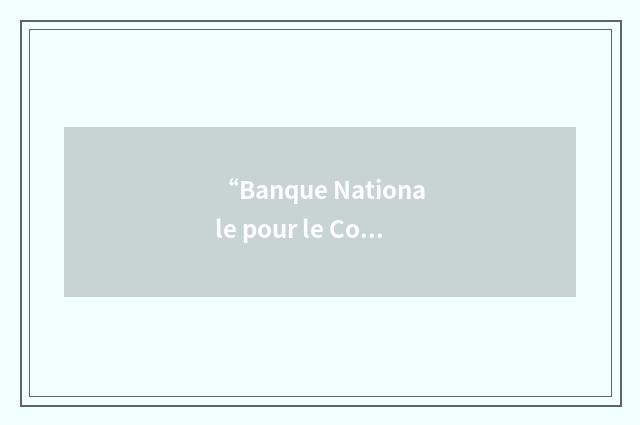 “Banque Nationale pour le Commerce de l'Industrie”缩略