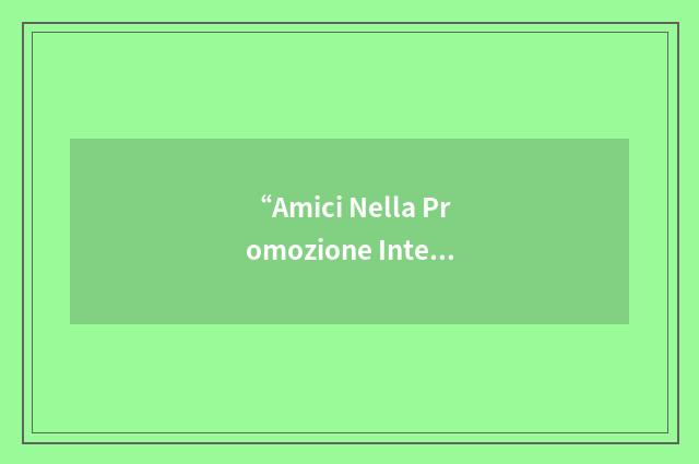 “Amici Nella Promozione Internazionale Lasalliana”缩略
