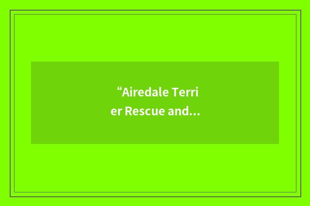 “Airedale Terrier Rescue and Adoption”缩略