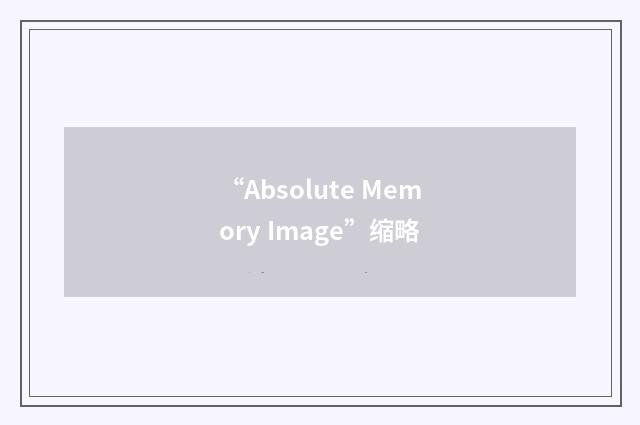 “Absolute Memory Image”缩略