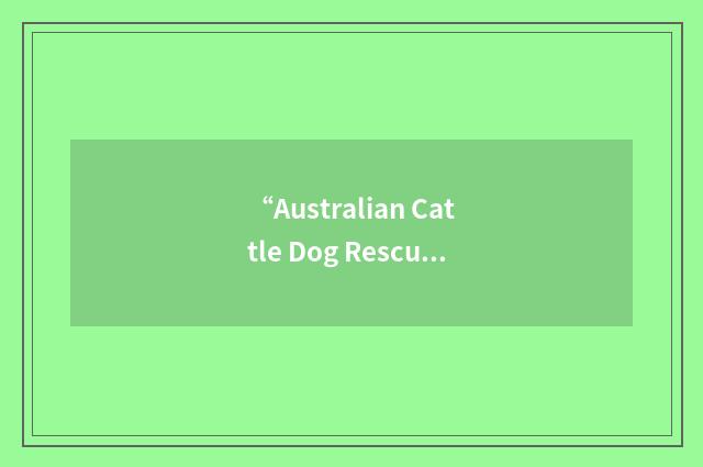 “Australian Cattle Dog Rescue Inc.”缩略