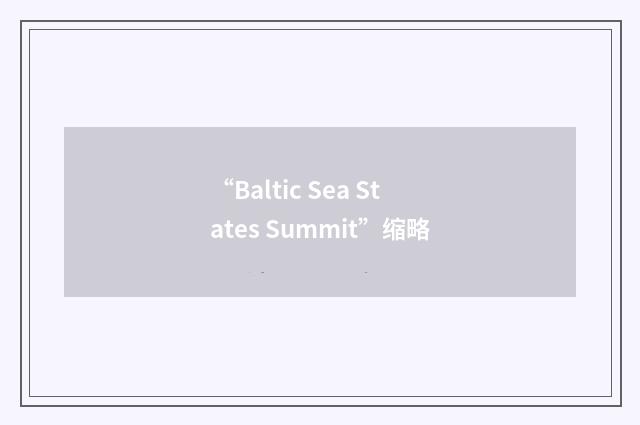 “Baltic Sea States Summit”缩略