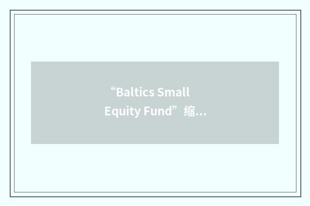 “Baltics Small Equity Fund”缩略